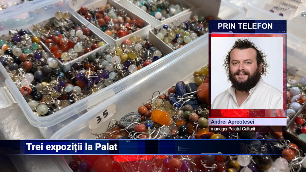 Trei expoziții la Palat