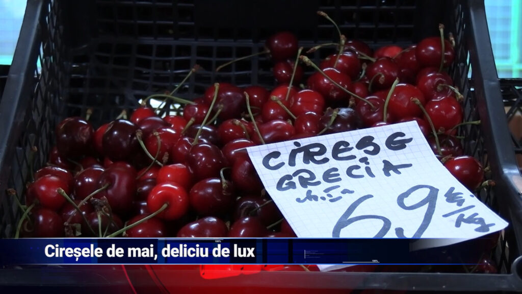 Cireșele de mai, deliciu de lux