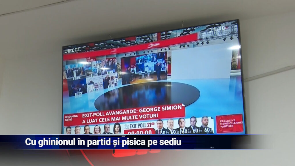 Cu ghinionul în partid și pisica pe sediu