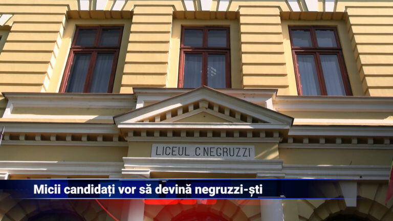 Micii candidați vor să devină negruzziști