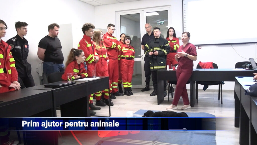 Prim ajutor pentru animale