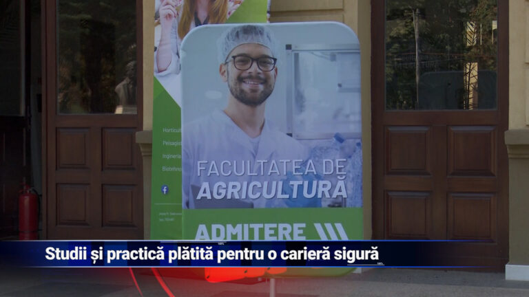 Studii și practică plătită pentru o carieră sigură