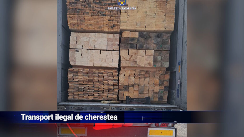 Transport ilegal de cherestea