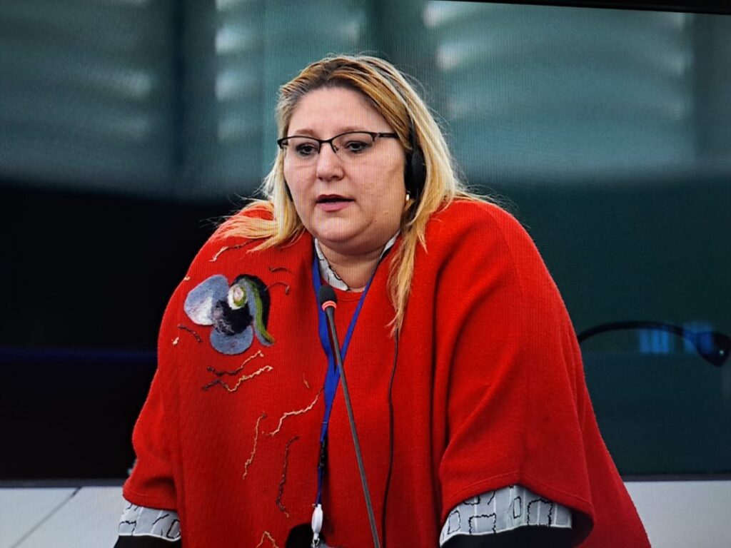 Diana Șoșoacă refuză invitația lui Nicușor Dan la consultări