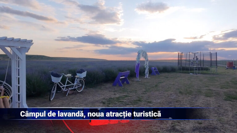 Câmpul de lavandă, noua atracție turistică
