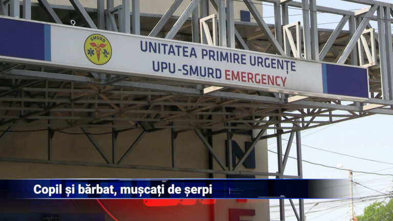 Copil și bărbat, muscați de șerpi