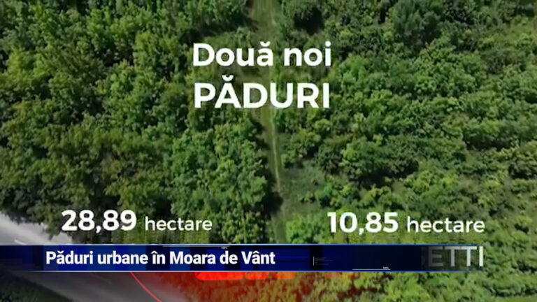 Păduri urbane în Moara de Vânt