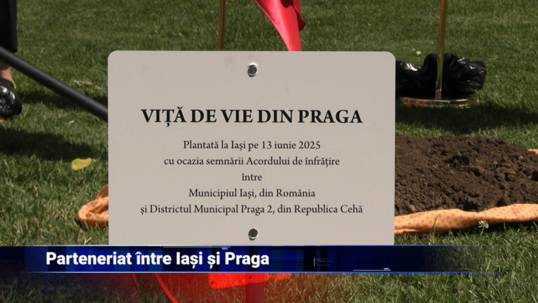 Parteneriat între Iași și Praga
