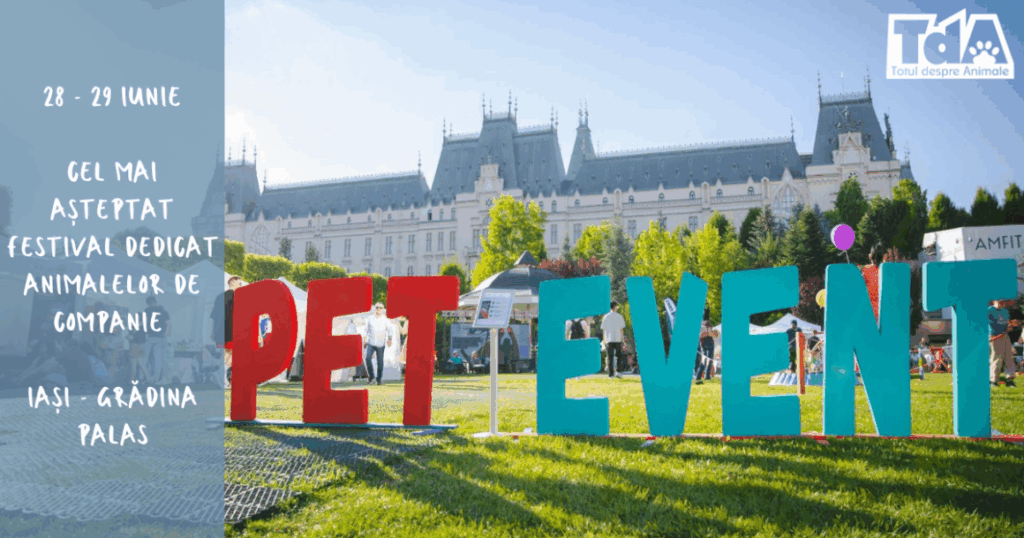 PET EVENT Iași: două zile de festival pentru animale de companie