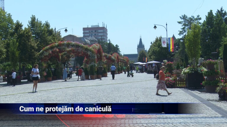 Cum ne protejăm de caniculă