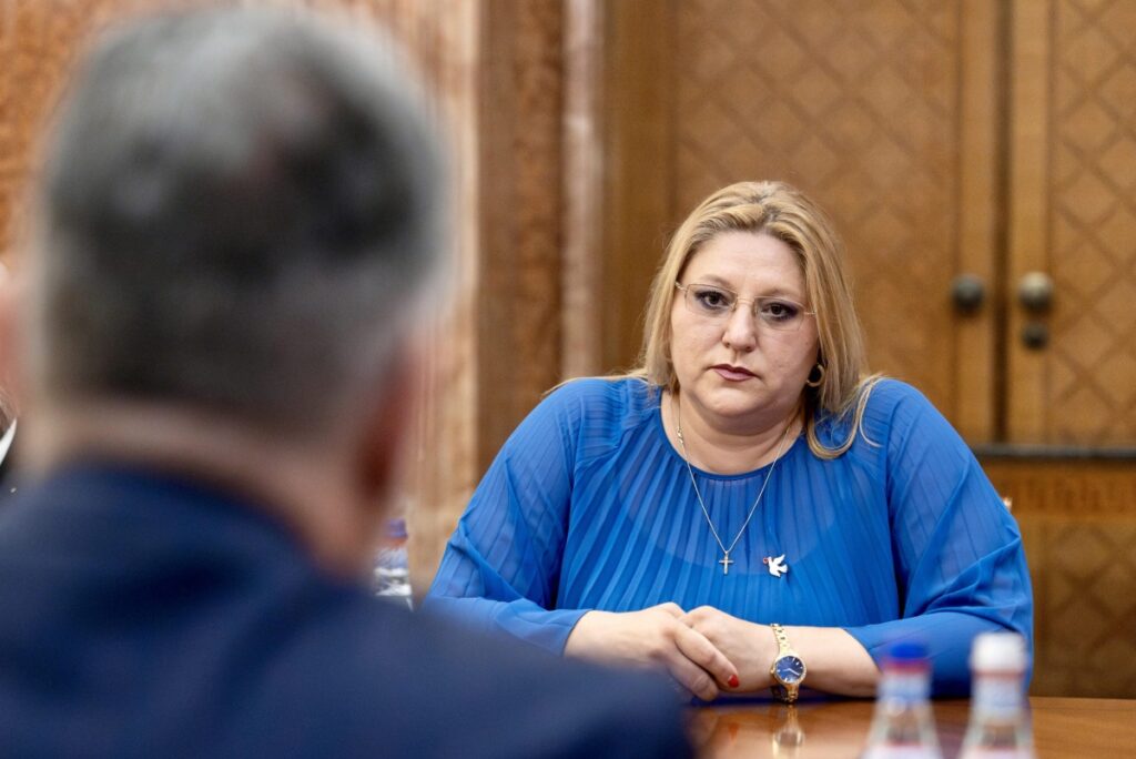 Șoșoacă a cerut oficial desființarea grupului SOS România, de la Senat