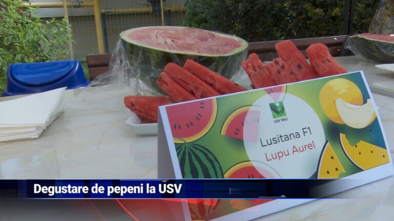 Degustare de pepeni la USV