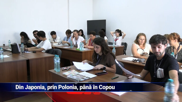 Din Japonia, prin Polonia, până în Copou