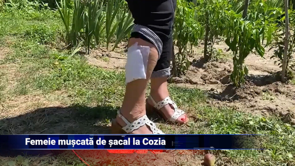Femeie mușcată de șacal la Cozia
