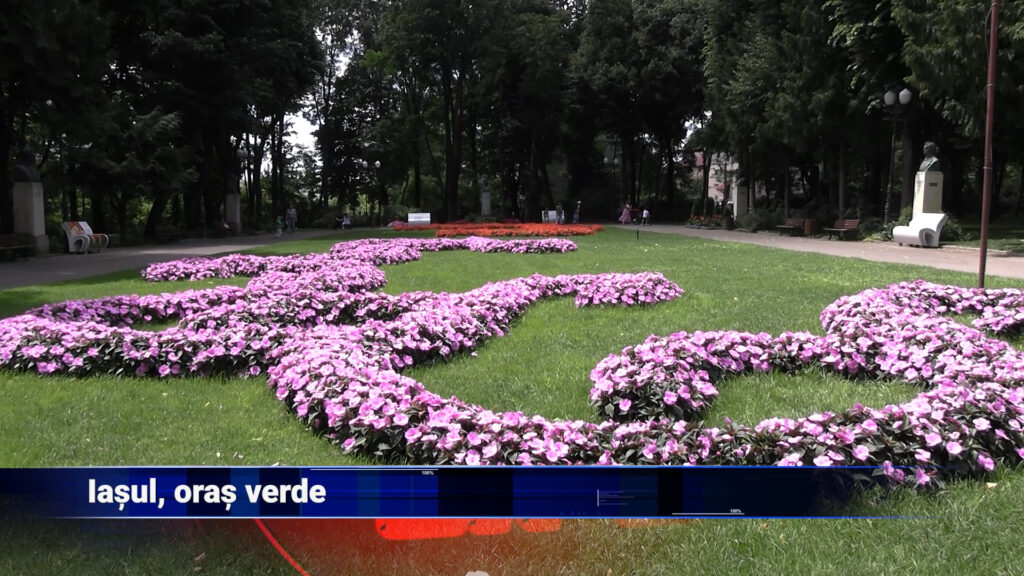 Iașul, oraș verde