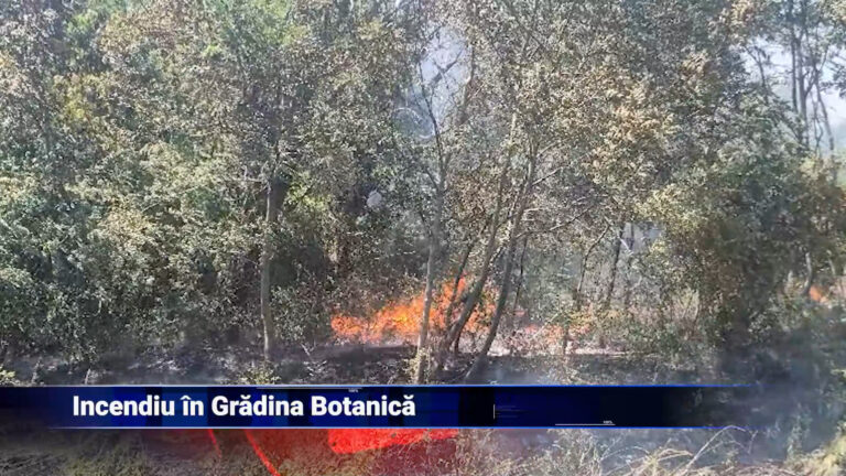 Incendiu în Grădina Botanică