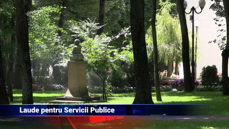 Laude pentru Servicii Publice