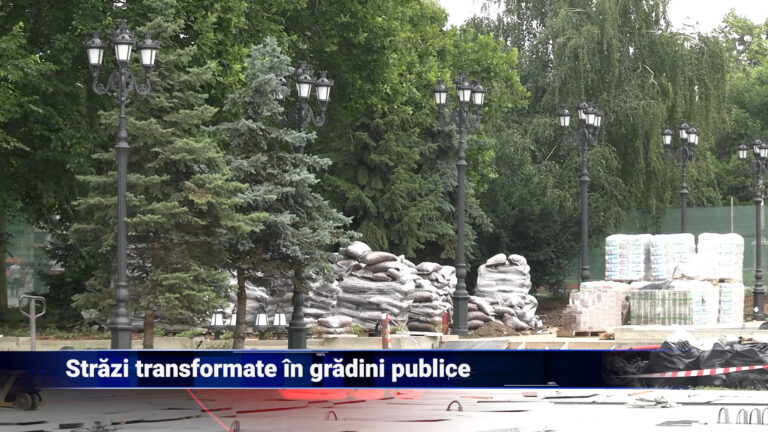 Străzi transformate în grădini publice