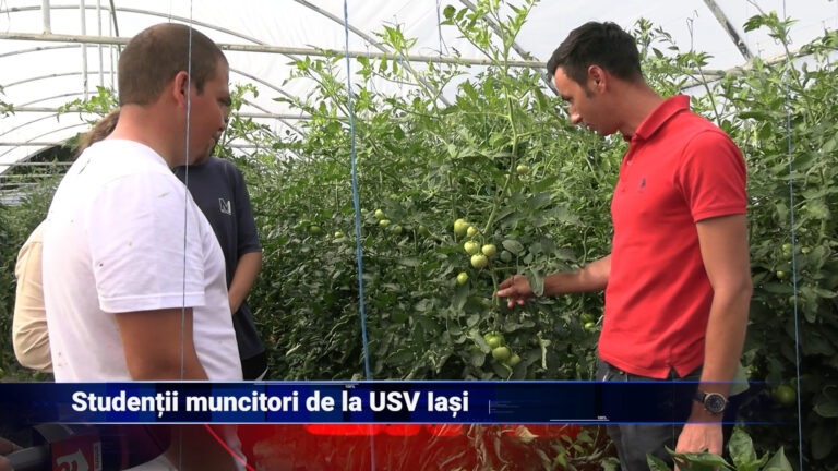 Studenții muncitori de la USV Iași