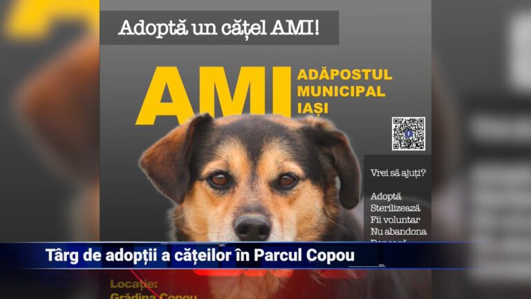 Târg de adopții pentru căței în Parcul Copou
