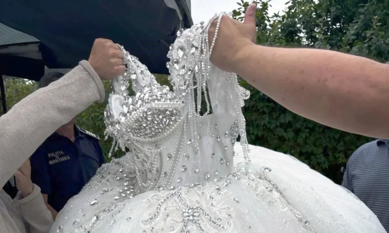 Rochii și accesorii de lux, dar fără acte: captură inedită a polițiștilor de frontieră