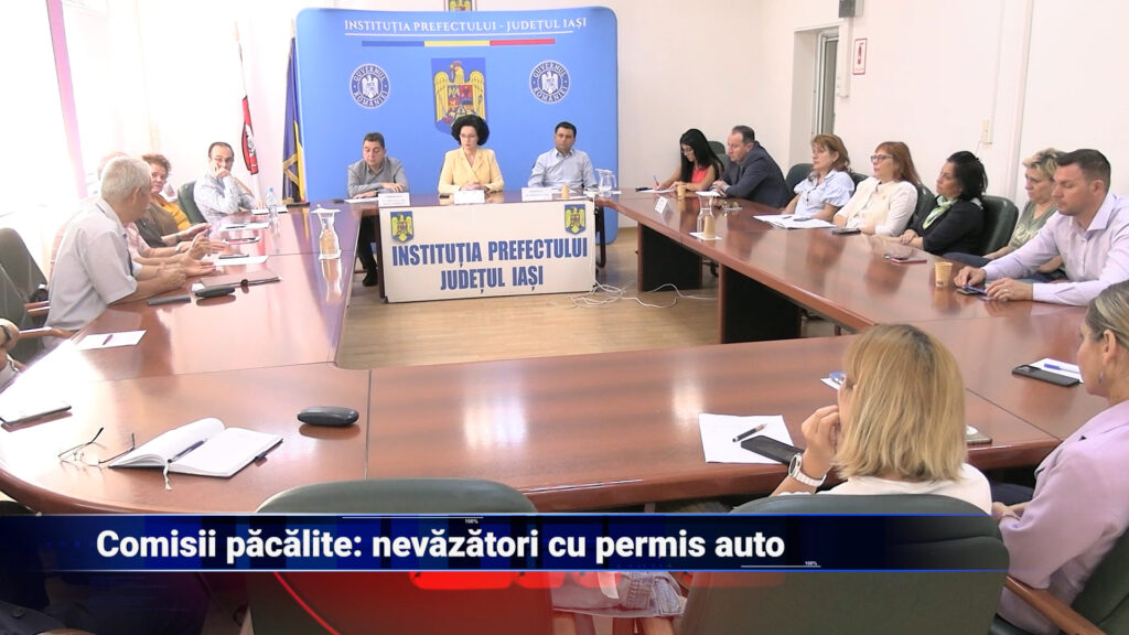 Comisii păcălite: nevăzători cu permis auto