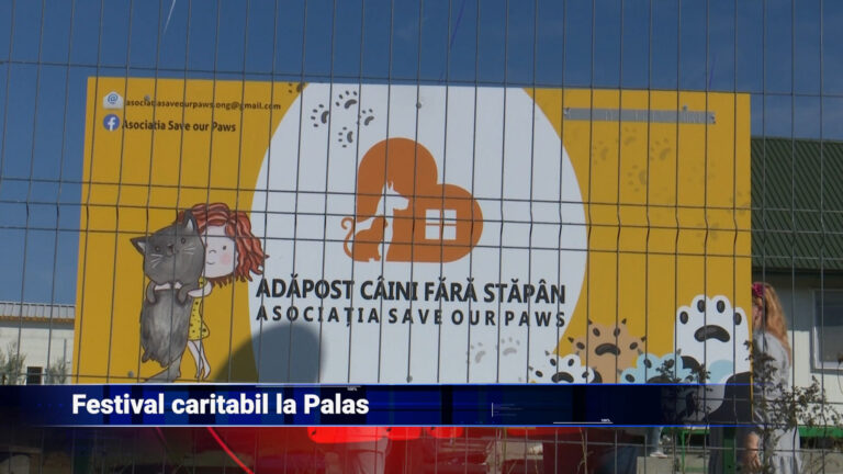 Festival caritabil la Palas