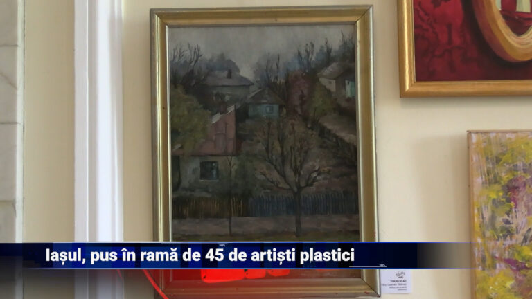 Iașul, pus în ramă de 45 de artiști plastici