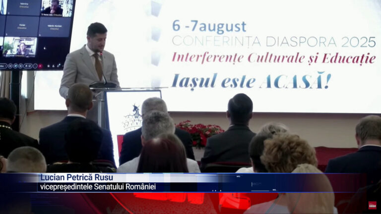 Români din Diaspora, afaceriști în România