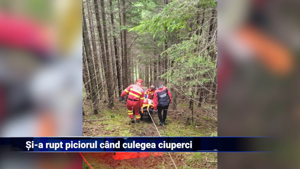 Și-a rupt piciorul când culegea ciuperci