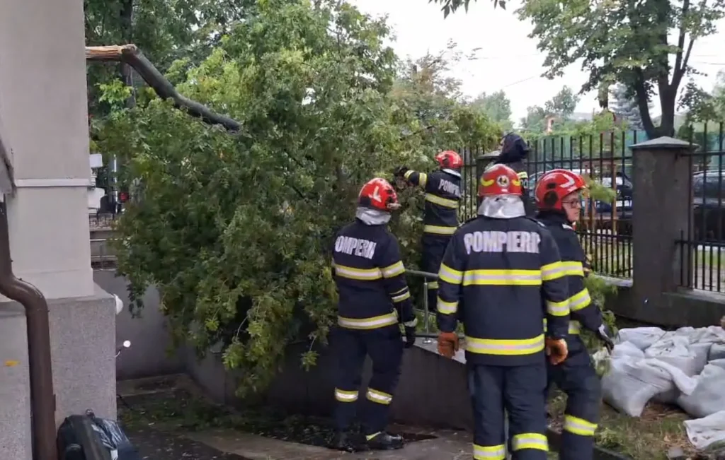 VIDEO. A fost cod roșu de vijelie la Iași. Copaci doborâți pe mai multe străzi
