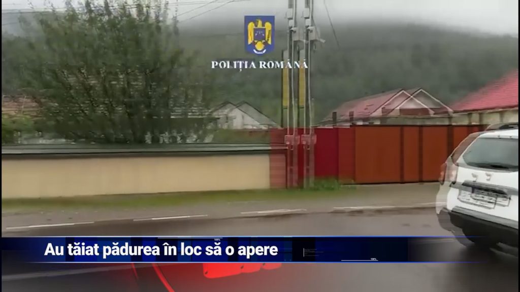 Au tăiat pădurea în loc să o apere