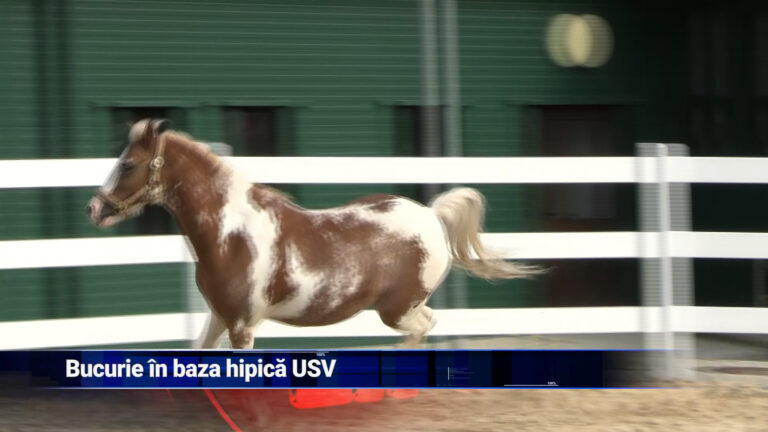 Bucurie în baza hipică USV