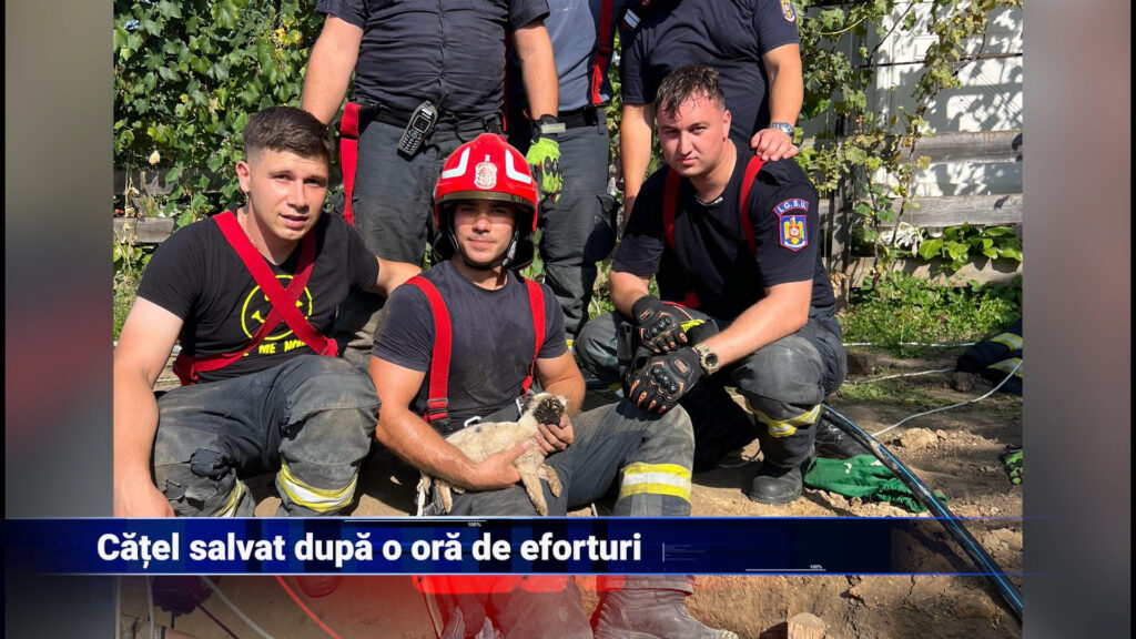 Cățel salvat după o oră de eforturi