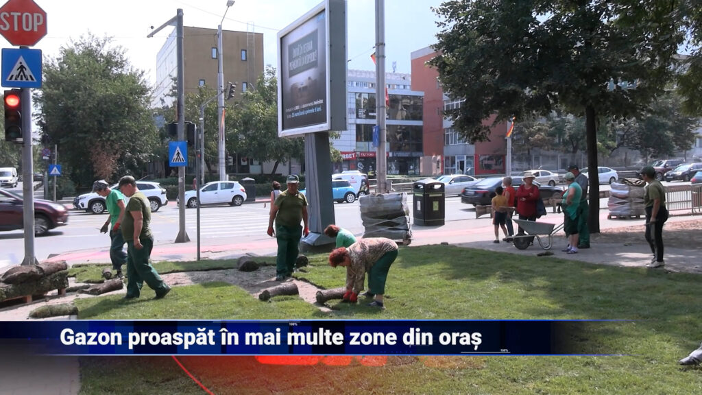 Gazon proaspăt în mai multe zone din oraș