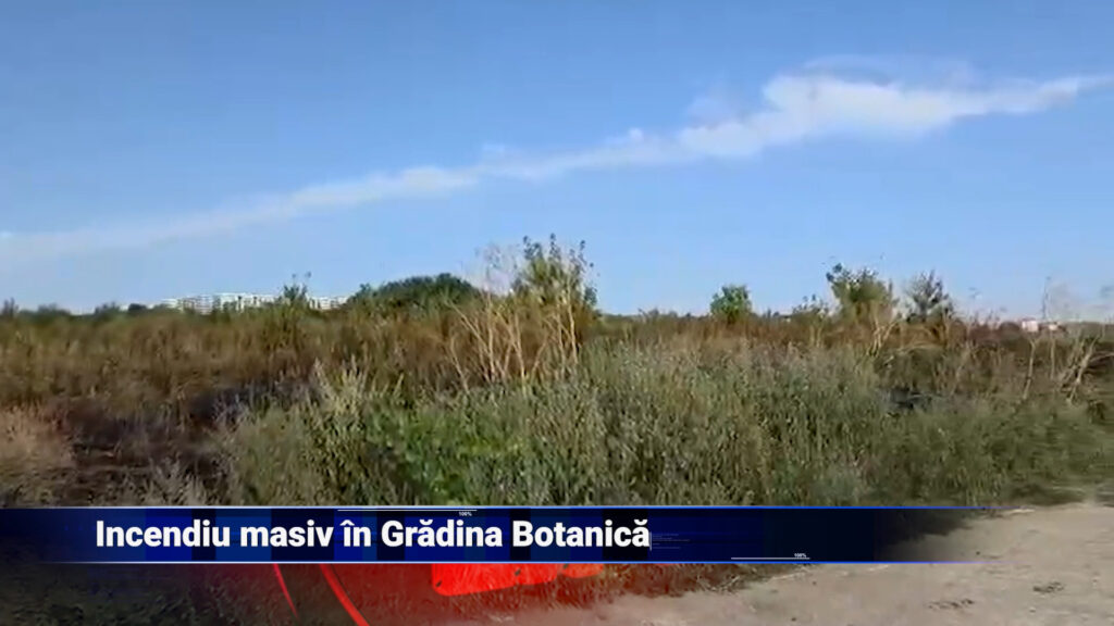 Incendiu masiv în Grădina Botanică
