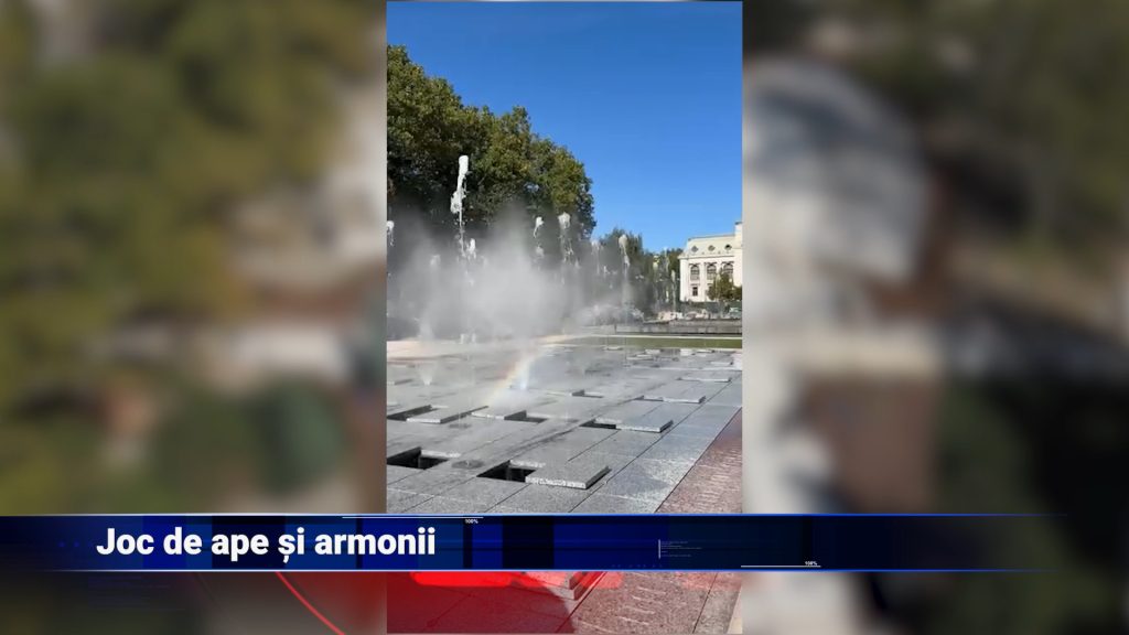 Joc de ape și armonii