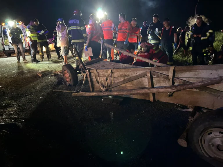 Accident mortal în Scânteia: O căruță a fost spulberată de o autoutilitară