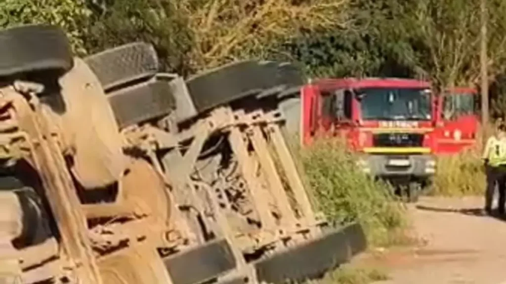 Tragedie evitată la Neamț: Un camion plin cu floarea-soarelui a ajuns în șanț. Șoferul, încarcerat
