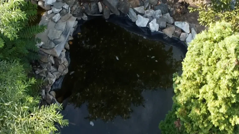 Tragedie la grădiniță: Un copil s-a înecat, după ce a fost lăsat singur