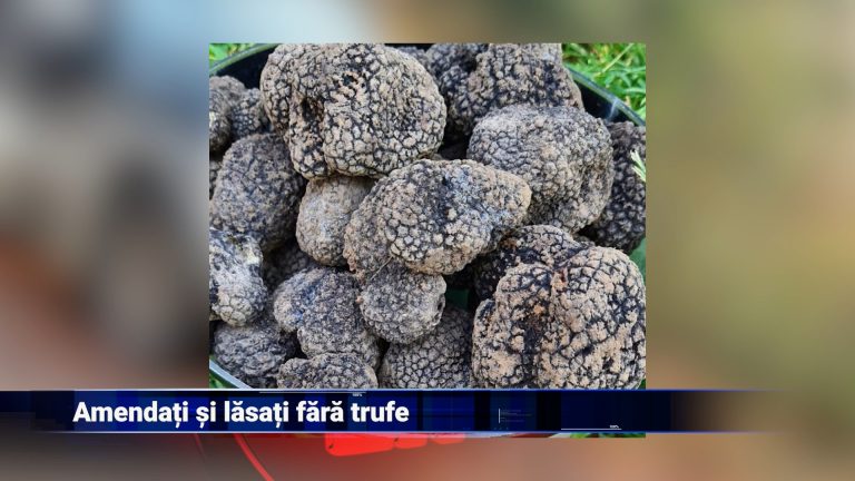 Amendați și lăsați fără trufe