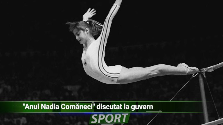 „ANUL NADIA COMĂNECI” DISCUTAT LA GUVERN