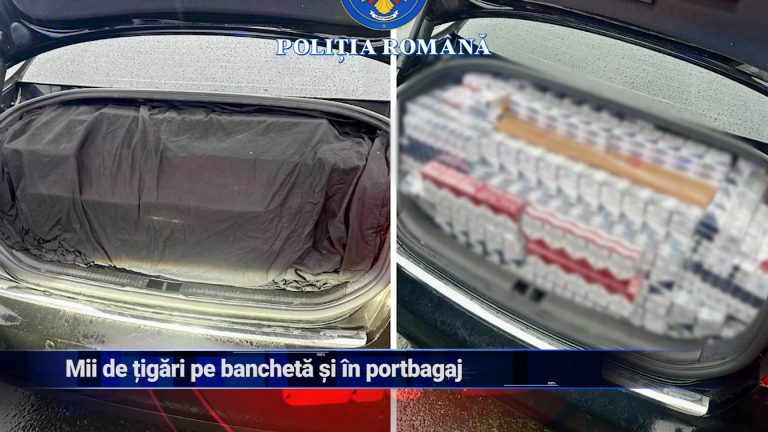 Mii de țigări pe banchetă și în portbagaj