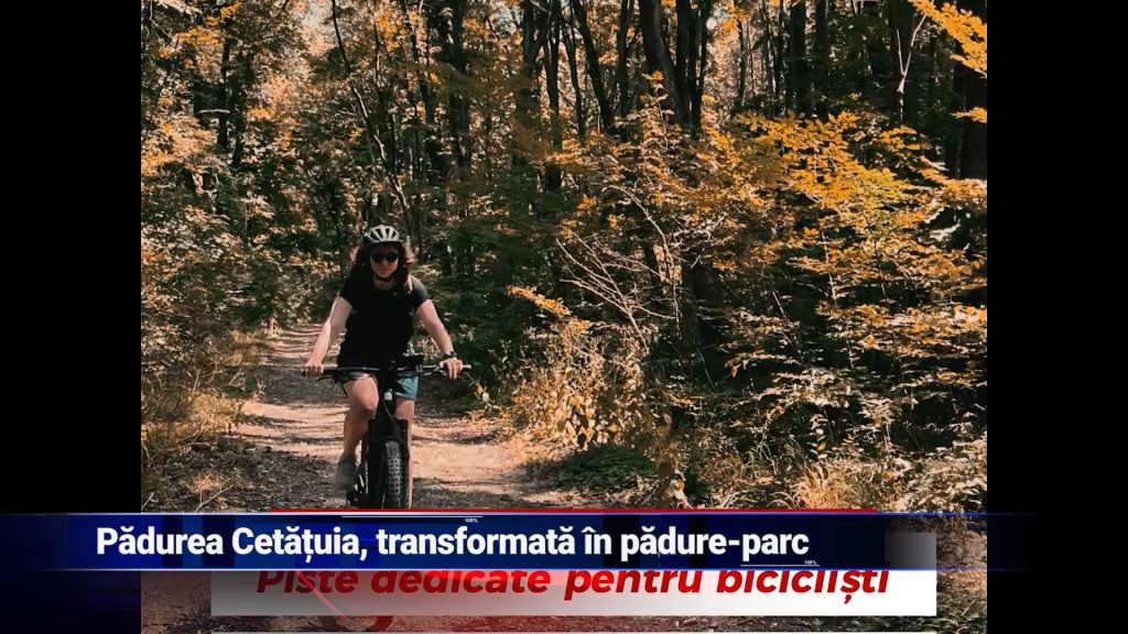 Pădurea Cetățuia, transformată în pădure-parc