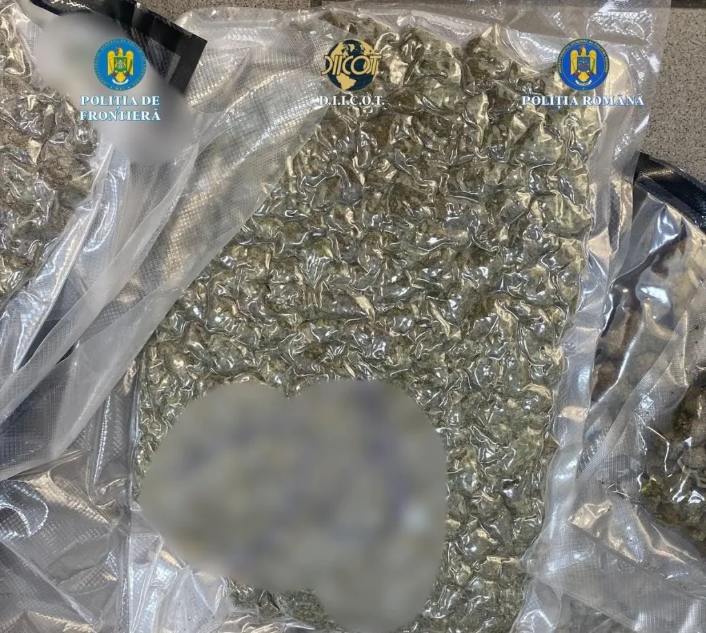 Captură DIICOT: Un cetățean albanez a încercat să introducă în țară 22 de kilograme de canabis