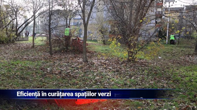 Eficiență în curățarea spațiilor verzi