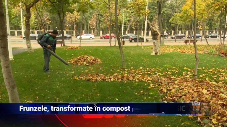 Frunzele, transformate în compost