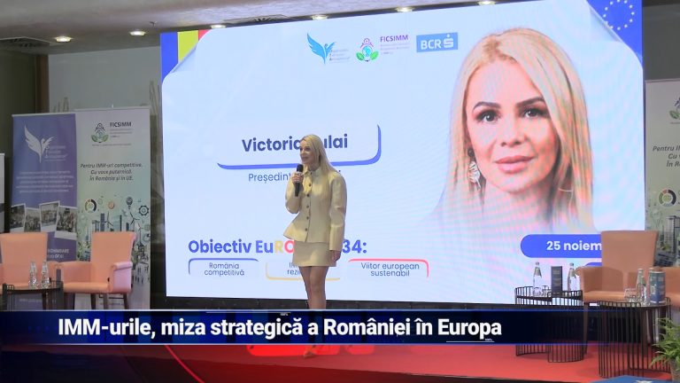 IMM-urile, miză strategică a României în Europa