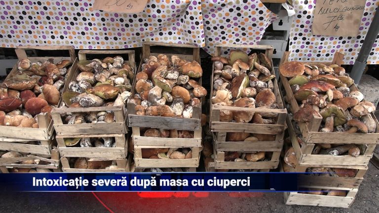 Intoxicație severă după masă cu ciuperci