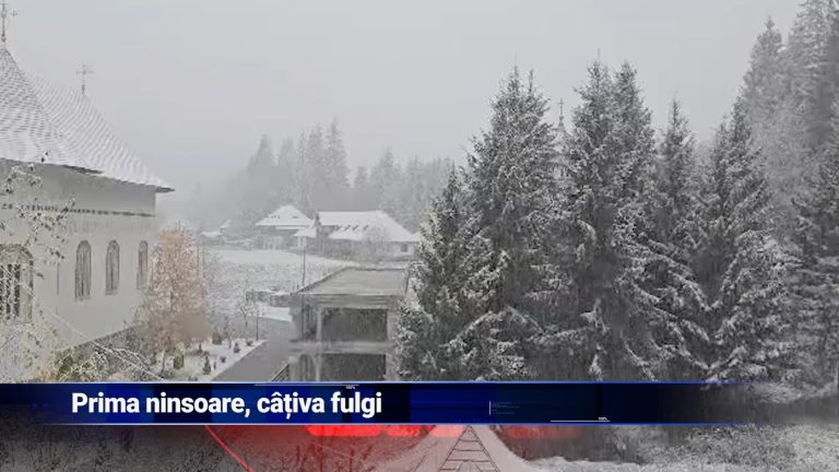 Prima ninsoare, câțiva fulgi